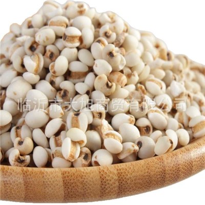 批发大薏米杂粮大薏仁米 一件代发真空包装 五斤包邮图5