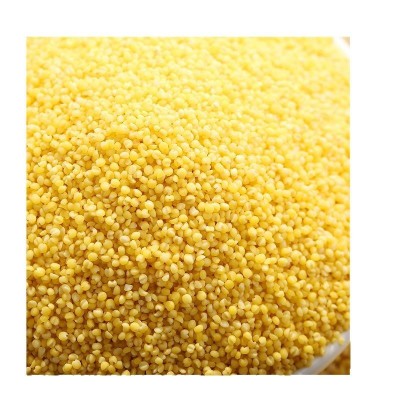 黄小米农家小米粥食用小黄米新米月子米宝宝米500g粗粮五谷杂粮图5