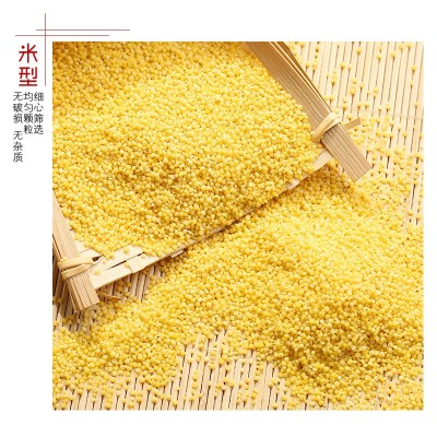 黄小米农家小米粥食用小黄米新米月子米宝宝米500g粗粮五谷杂粮图3
