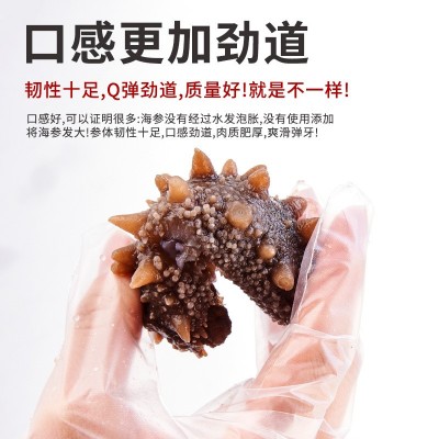 即食海参厂家批发大连辽参礼盒装代发刺参鲜食非干参送礼高品质图2
