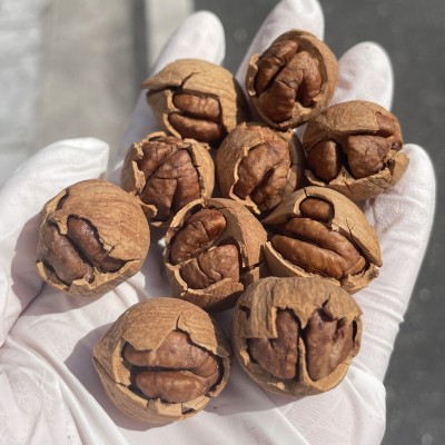 特好剥临安山核桃10斤/箱散装批发 奶油味椒盐味水煮辣味小核桃图2