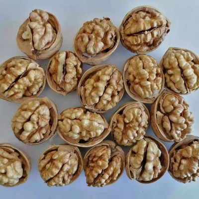 新疆纸皮核桃出口生产厂家185薄皮核桃加工可商检图2