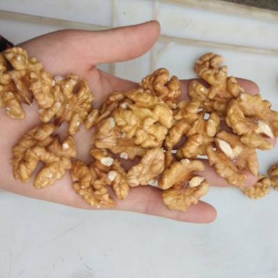 新疆纸皮核桃出口生产厂家185薄皮核桃加工可商检图5