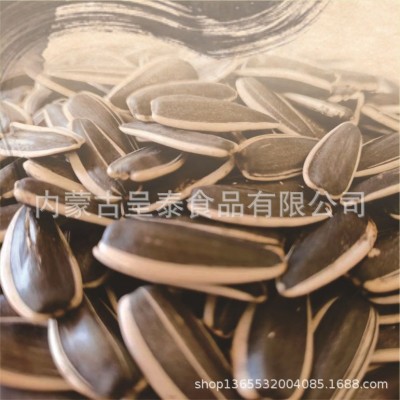 2025年新货葵花籽（同庆5号）好粒度的葵花籽