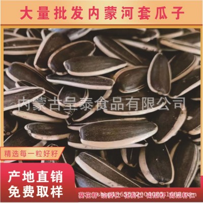 2025年新货葵花籽（同庆5号）好粒度的葵花籽图3