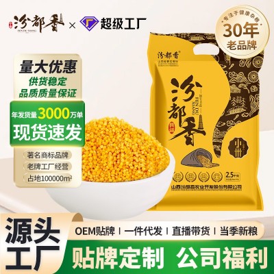 汾都香 山西黄小米 新米五谷杂粮黄小米米脂真空500g图2