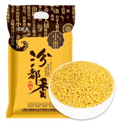 汾都香 山西黄小米 新米五谷杂粮黄小米米脂真空500g图5