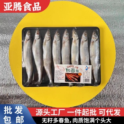 1号满籽多春鱼现货冰鲜多春鱼海鲜水产新鲜冷冻海鱼多籽鱼多春鱼图3