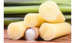 青皮甘蔗的功效与作用