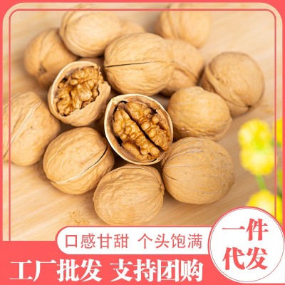 代发纸皮核桃新疆特产烤核桃手捏即开健康坚果包邮185纸皮核桃