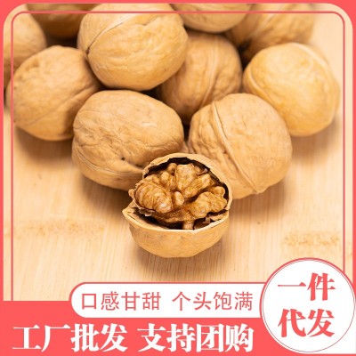 代发纸皮核桃新疆特产烤核桃手捏即开健康坚果包邮185纸皮核桃图2