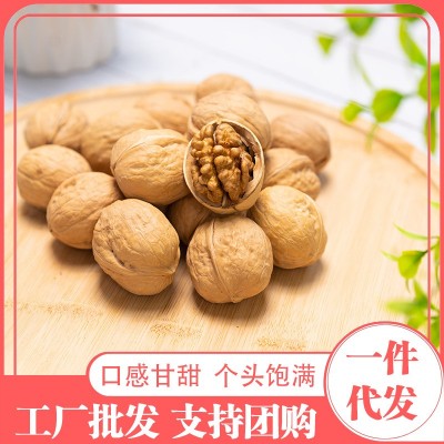 代发纸皮核桃新疆特产烤核桃手捏即开健康坚果包邮185纸皮核桃图3