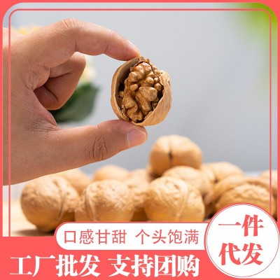 代发纸皮核桃新疆特产烤核桃手捏即开健康坚果包邮185纸皮核桃图4