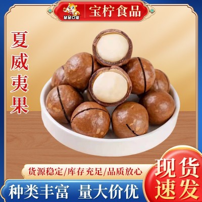 夏威夷果大颗粒100g装奶香味坚果炒货休闲零食小吃厂家供应