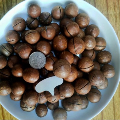 严选奶油夏威夷果批发250g 薄皮手剥胡桃果年货坚果零食夏威夷果图3