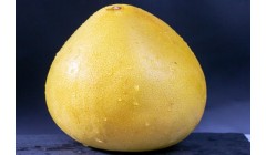 柚子皮的功效和作用