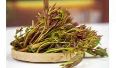 香椿的营养价值和功效