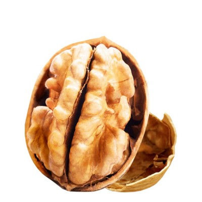 新疆阿克苏185纸皮核桃 薄皮原味500g袋美味坚果散装批发图3