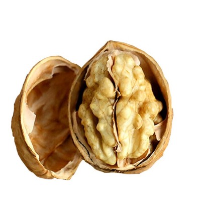 新疆阿克苏185纸皮核桃 薄皮原味500g袋美味坚果散装批发图4