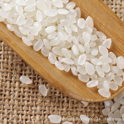 野森林五常大米 东北大米 真空包装农产品地理标志产品应季新米5k图3