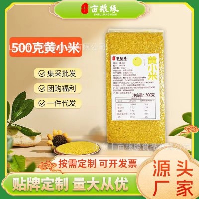 新米黄小米500克 独立真空包装 小米粥 十亩粮缘五谷杂粮工厂批发图2