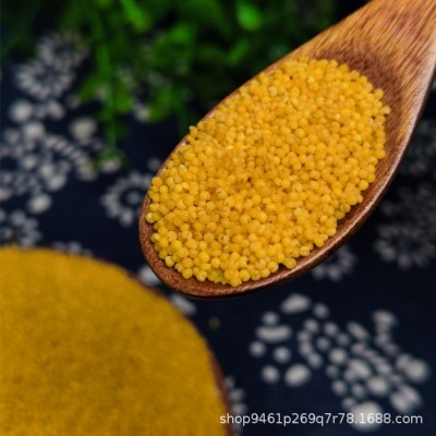 新米黄小米500克 独立真空包装 小米粥 十亩粮缘五谷杂粮工厂批发图4