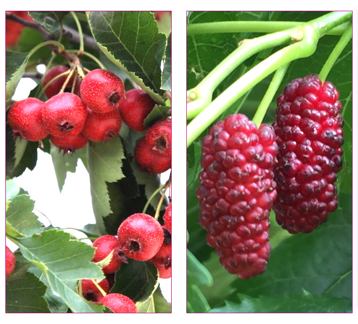 31d1076a53f7c6c0ee90b6f56ab27d