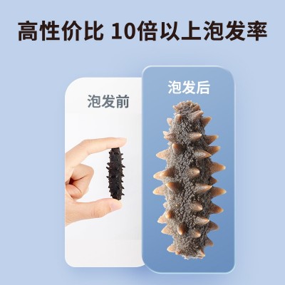 鼎鲜海参厂家批发大连淡干海参干货10倍泡发率参形完整内壁厚实图2