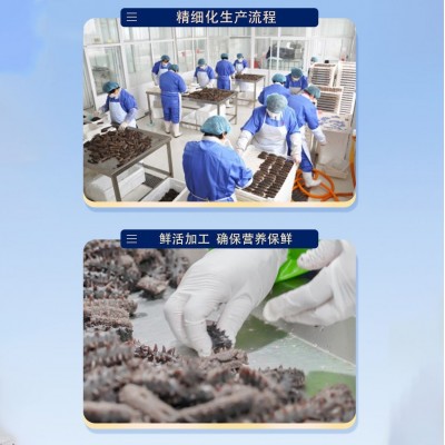 鼎鲜海参厂家批发大连淡干海参干货10倍泡发率参形完整内壁厚实图3