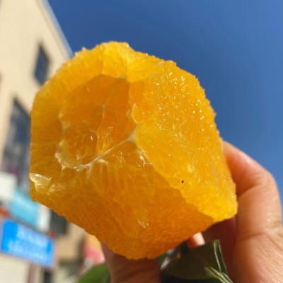 【正宗赣南脐橙】江西产地直发应季橙子现摘甜橙批发脐橙新鲜水果图3