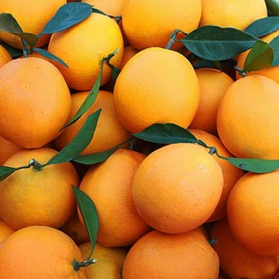 【爆甜多汁】江西赣南脐橙当季新鲜橙子水果榨汁当季手剥甜橙10斤图4