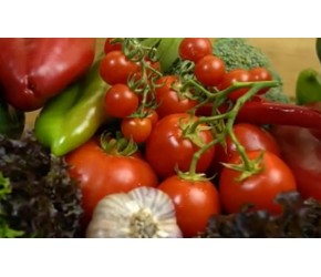 生活 美食与烹饪 菜谱分享