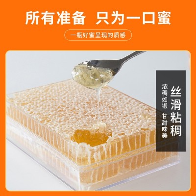 颍海蜂巢蜜500g批发土蜂蜜成熟封盖蜜蜂蜜荆条蜂巢蜜图4