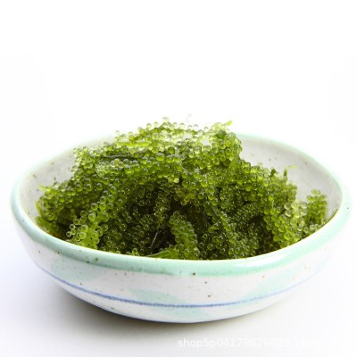 【厂家直销】盐渍海葡萄100克铝袋包装电商渠道竞价冲量款图3