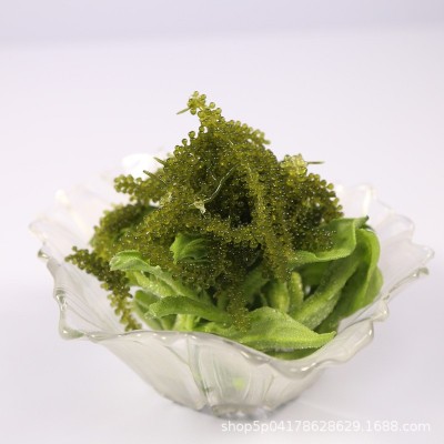 【厂家直销】盐渍海葡萄100克铝袋包装电商渠道竞价冲量款图2