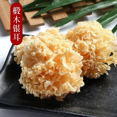 椴木银耳白木耳干货炖汤煮粥甜品袋装食用农产品雪耳厂家批发头茬
