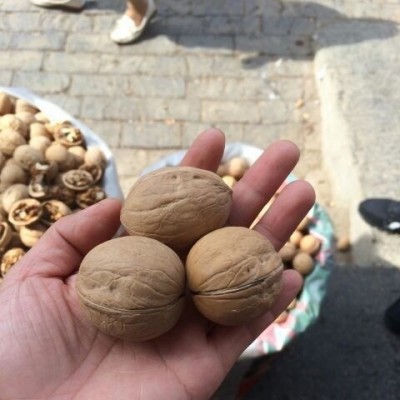 2025年新疆薄皮核桃原味核桃核桃仁饱满散装批发支持一件代发图2