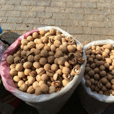 2025年新疆薄皮核桃原味核桃核桃仁饱满散装批发支持一件代发图4