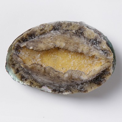 江船长去内脏熟冻鲍鱼去齿代内脏260g8粒装液氮锁鲜福建厂家自销图4