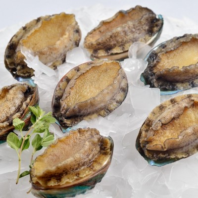 江船长零添加有机保鲜冷冻鲍鱼10粒装500g连江海鲜佛跳墙厂家直销图3