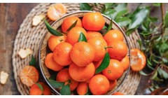 小橘子的功效与作用是什么