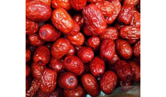 红枣栽培技术和管理