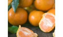 雪桔子的功效与作用