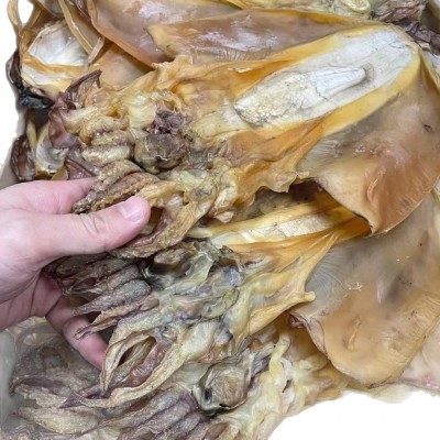 墨鱼干干货特级大2头-35头规格墨鱼纯淡晒目鱼干无贼干海鲜干货批图5