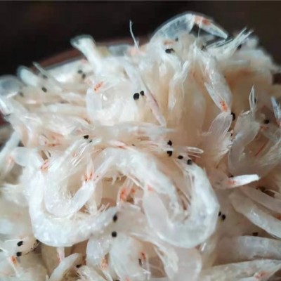 山东鲁滨海产 原产地 海鲜直销 虾皮 批发供应虾皮 鲜虾皮 淡图4