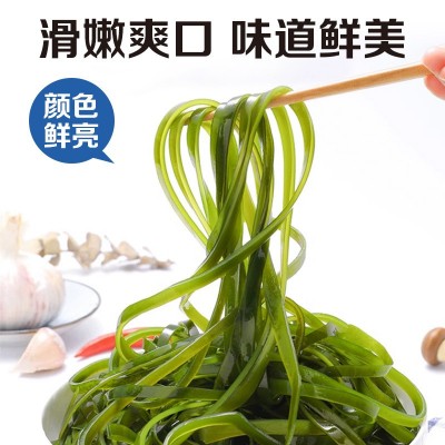 厂家批发商用淡干海带丝圆饼无沙免洗海带丝网红食品圆饼厚海带丝图4