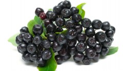 俄罗斯黑果的功效与作用