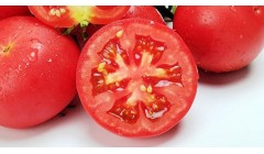 圣女果和西红柿的区别