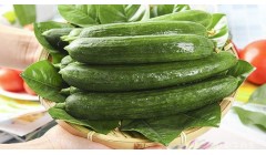 水果黄瓜的功效与作用