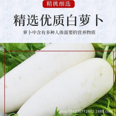 广西酸嘢酸甜萝卜糖醋萝卜小萝卜开袋即食酱腌菜下饭菜咸菜